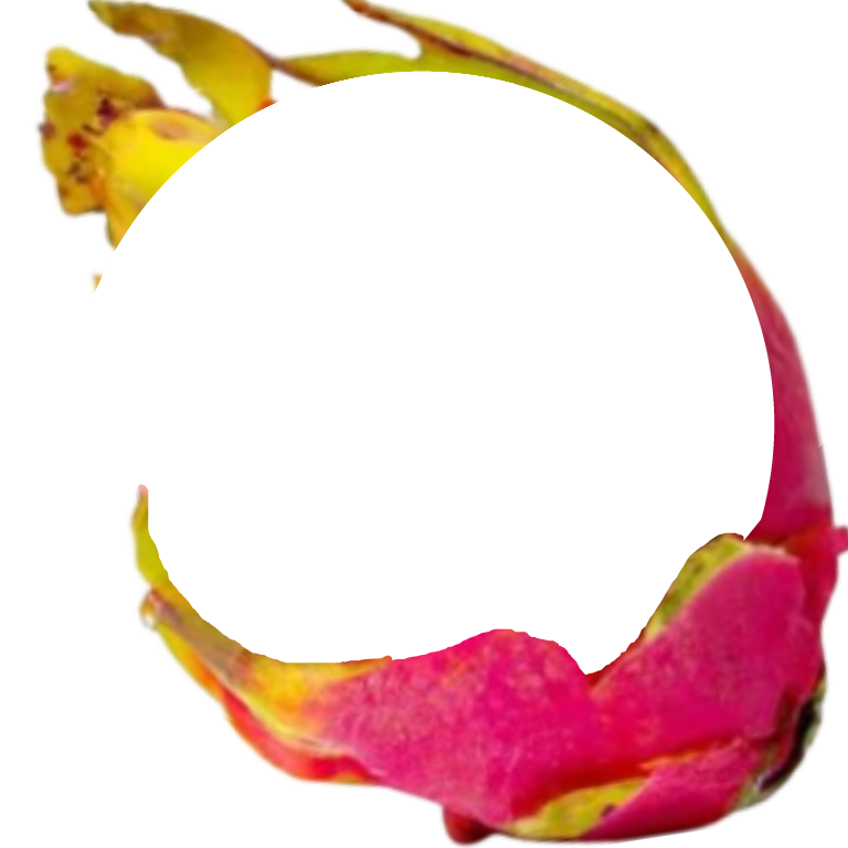dragon fruit Decoration